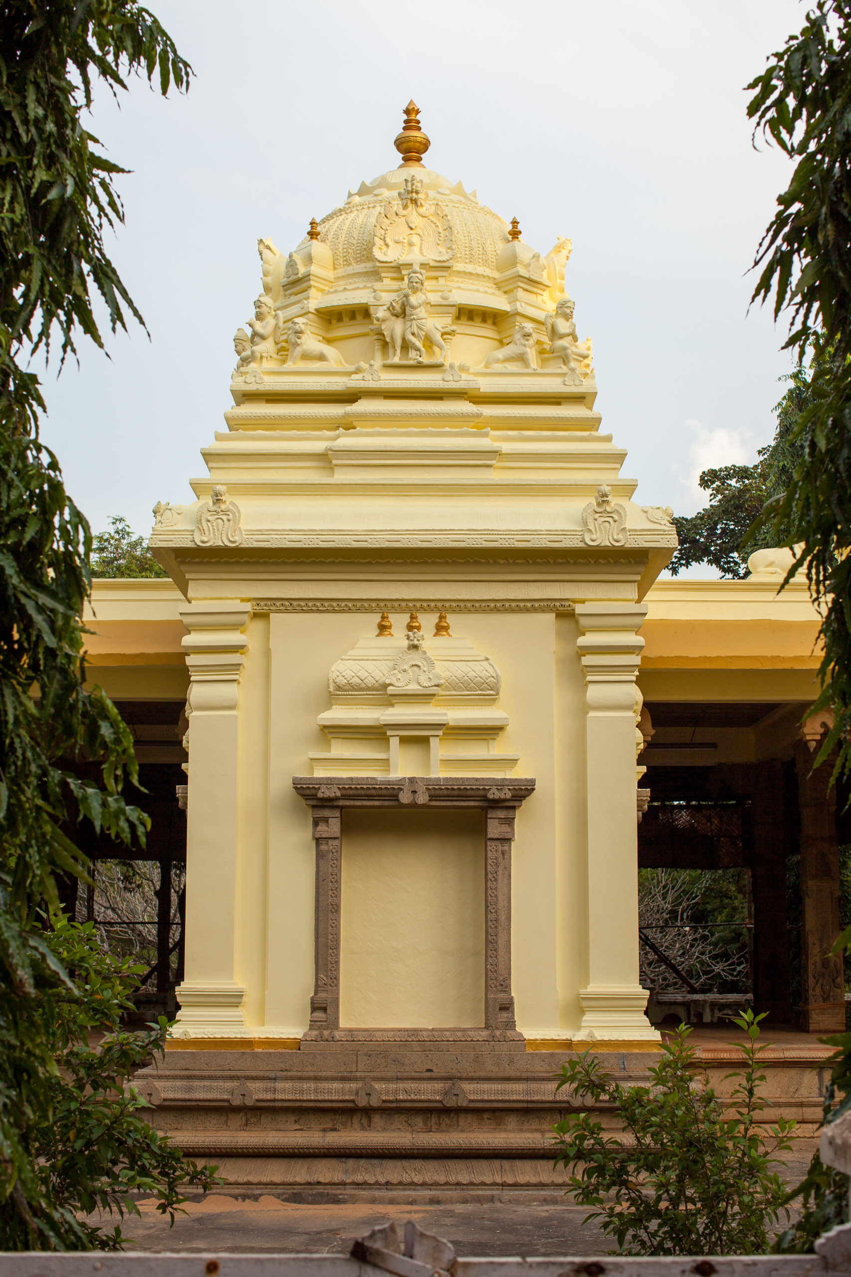 20110103171356 IMG 4108