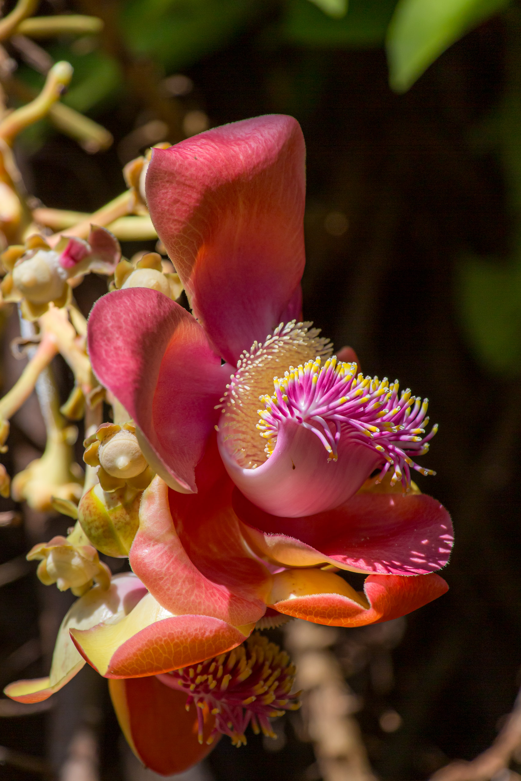 20130104105345 RD 27111