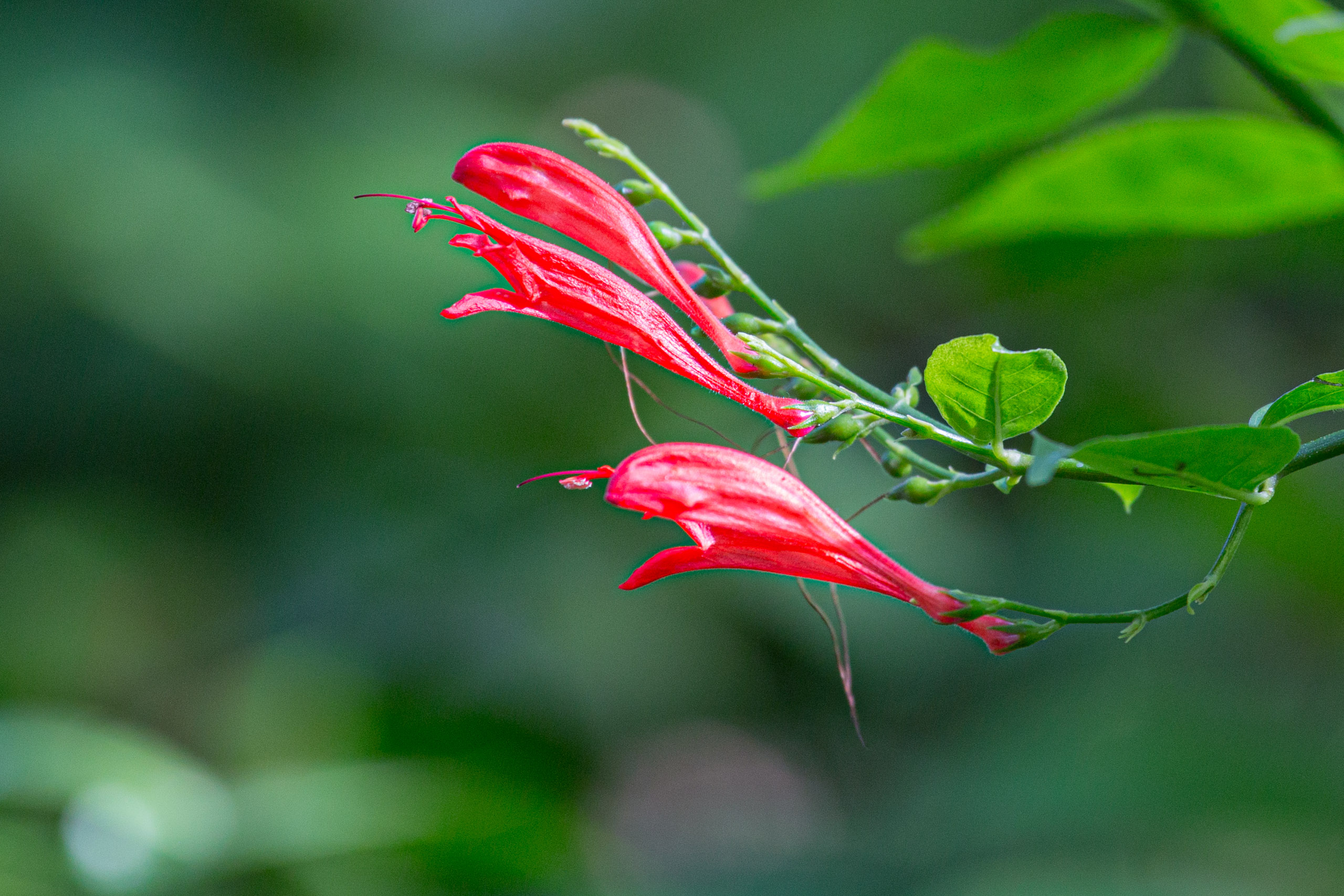 20130109144407 RD 28449