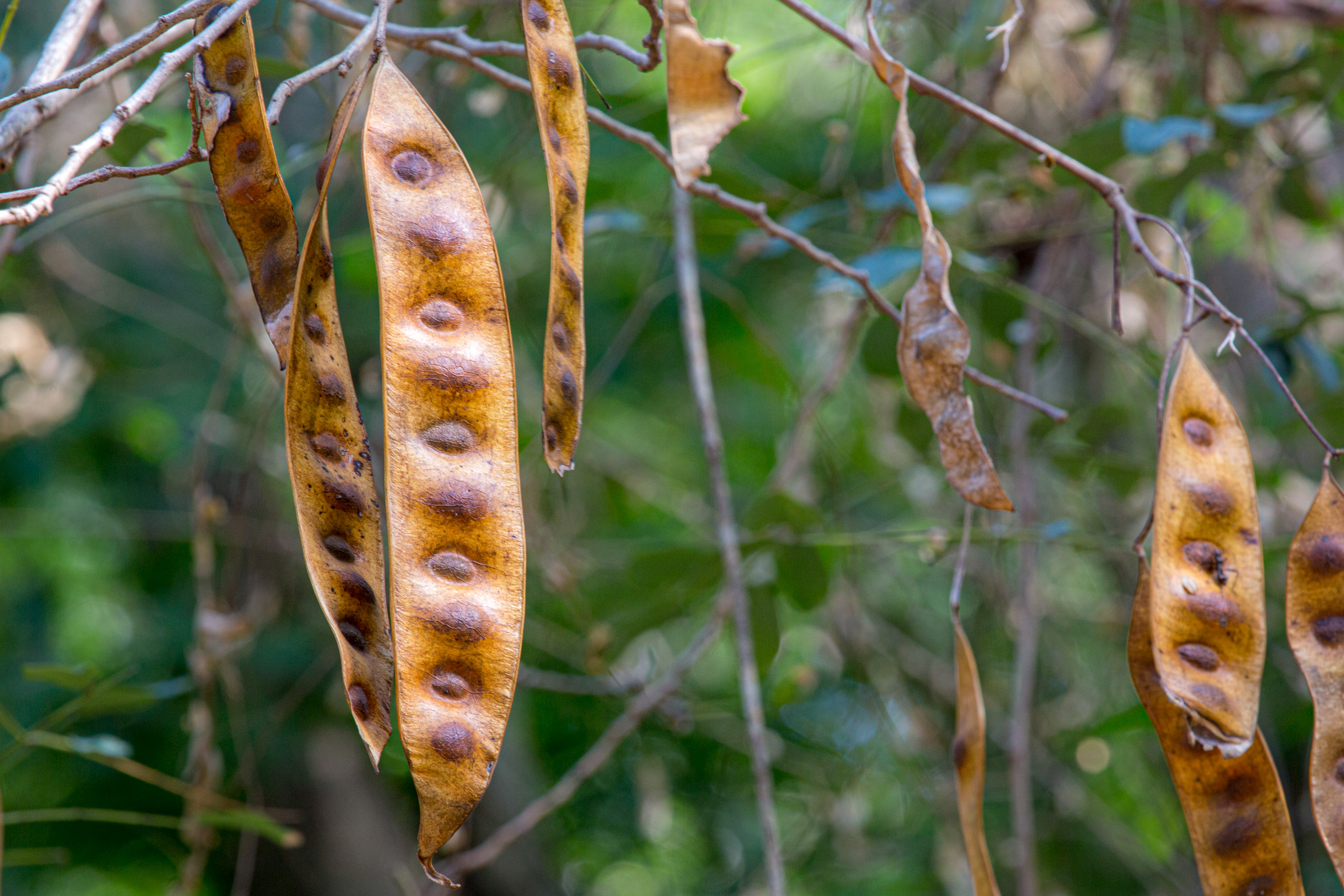 20130109145035 RD 28511