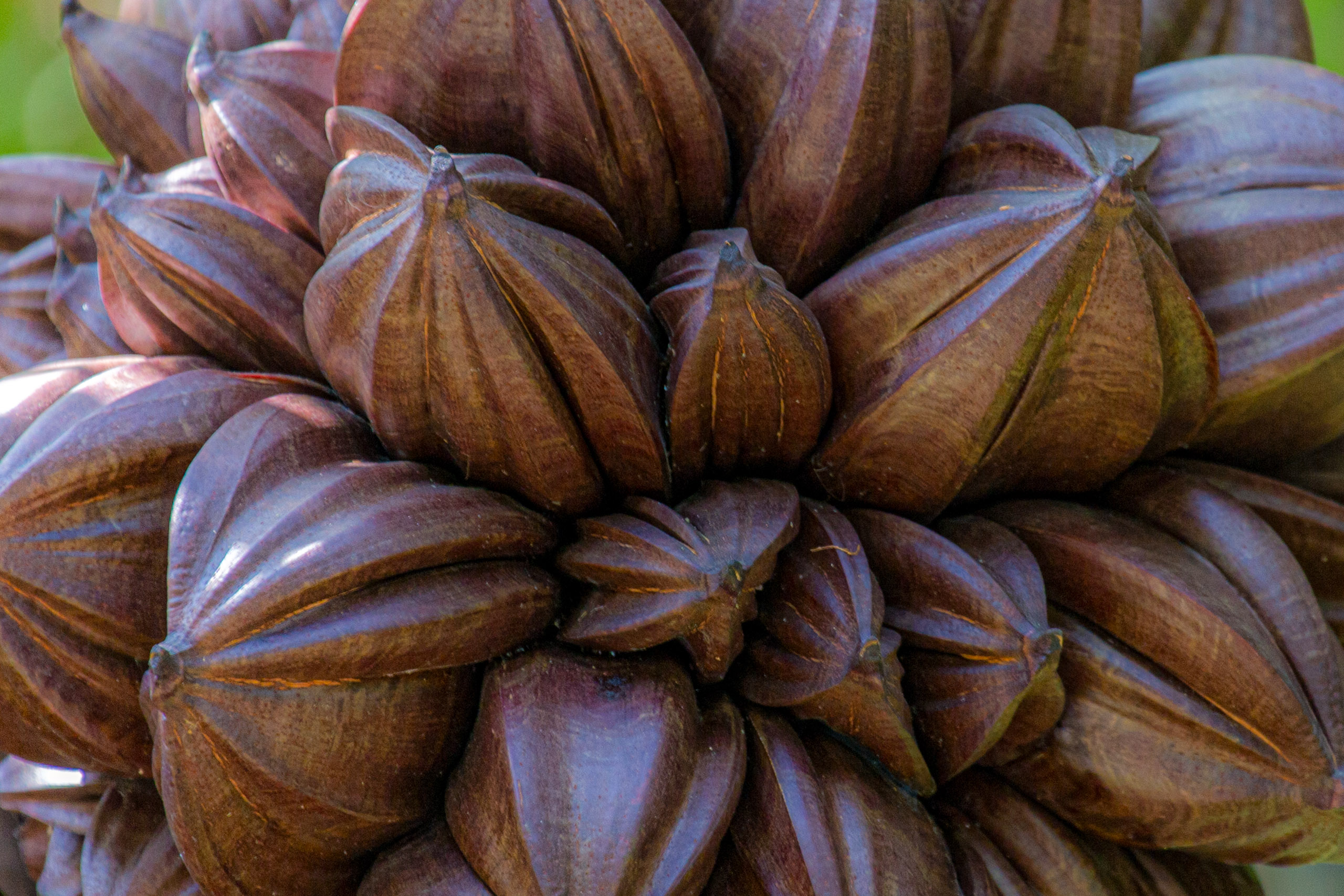 20130110111734 RD 29876