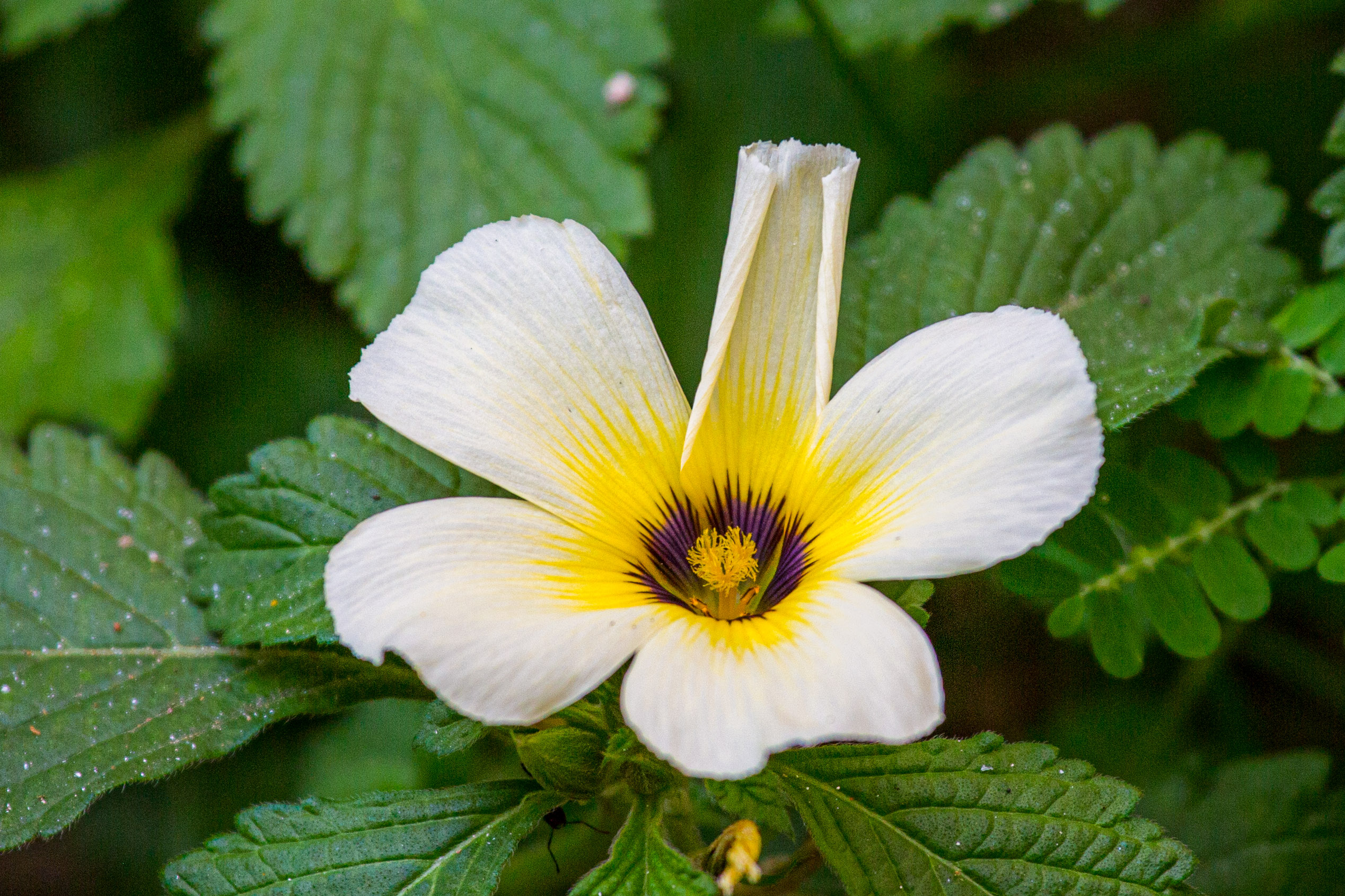 20130111112852 RD 20036