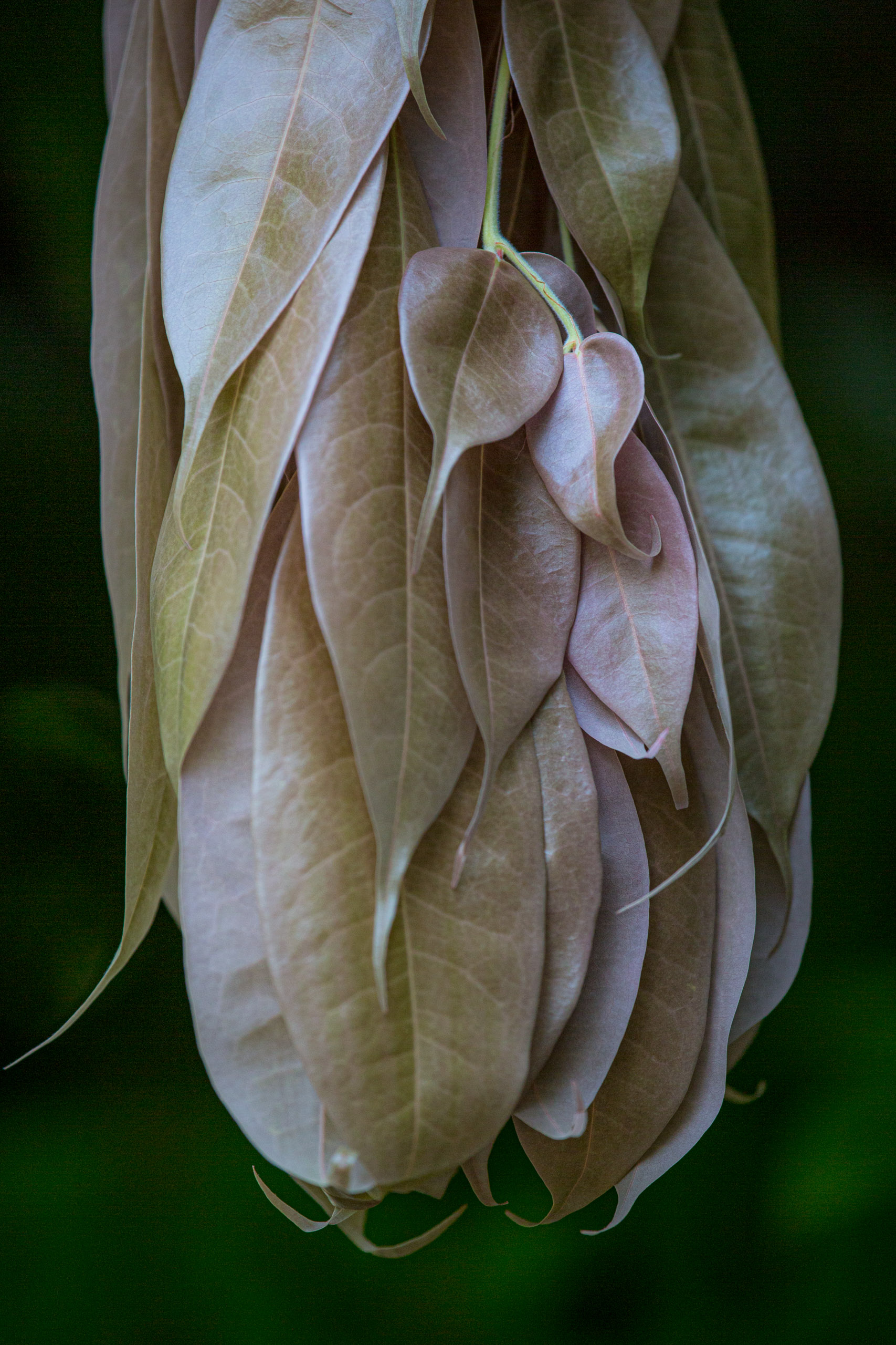 20130111113500 RD 20075