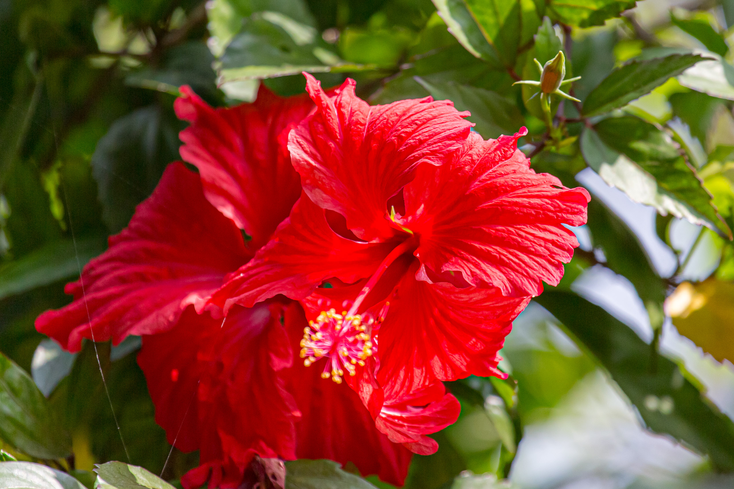 20130111123632 RD 20346