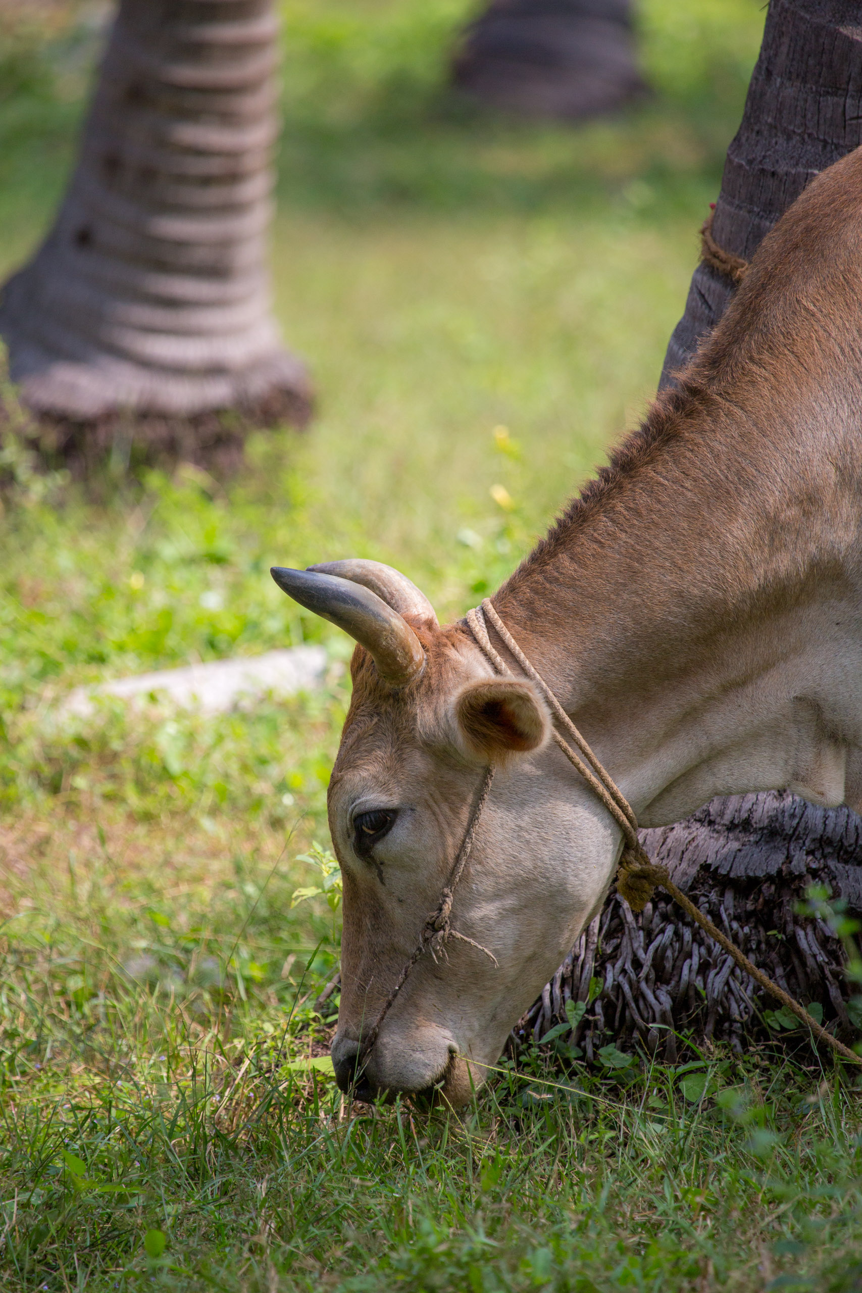 20130111125312 RD 20492