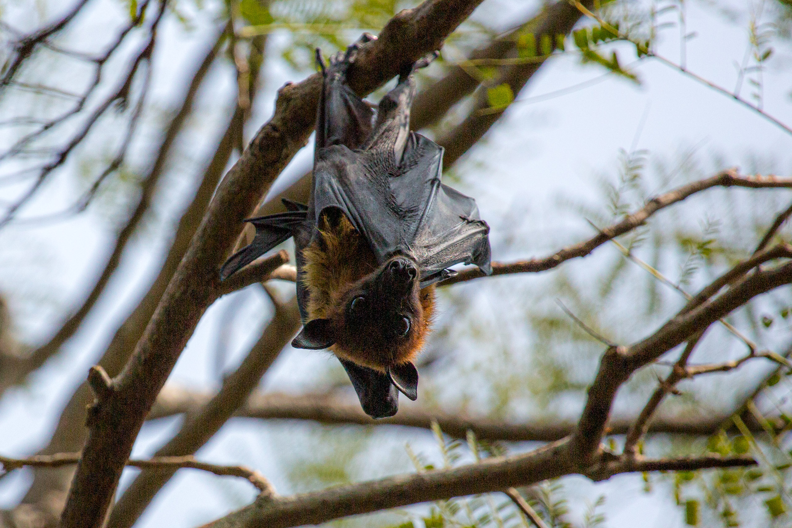 20130111125653 RD 20541