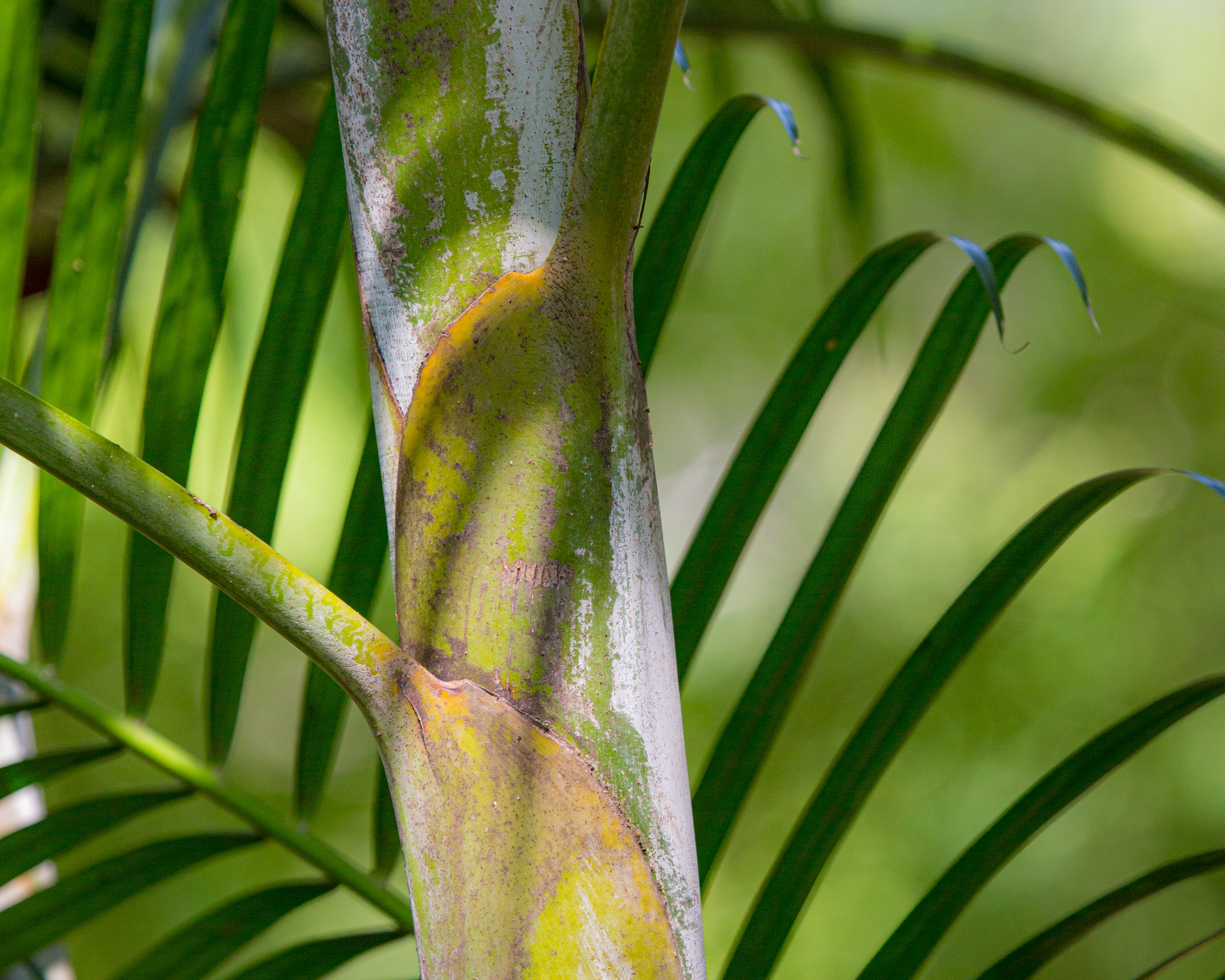 20130111130723 RD 20637