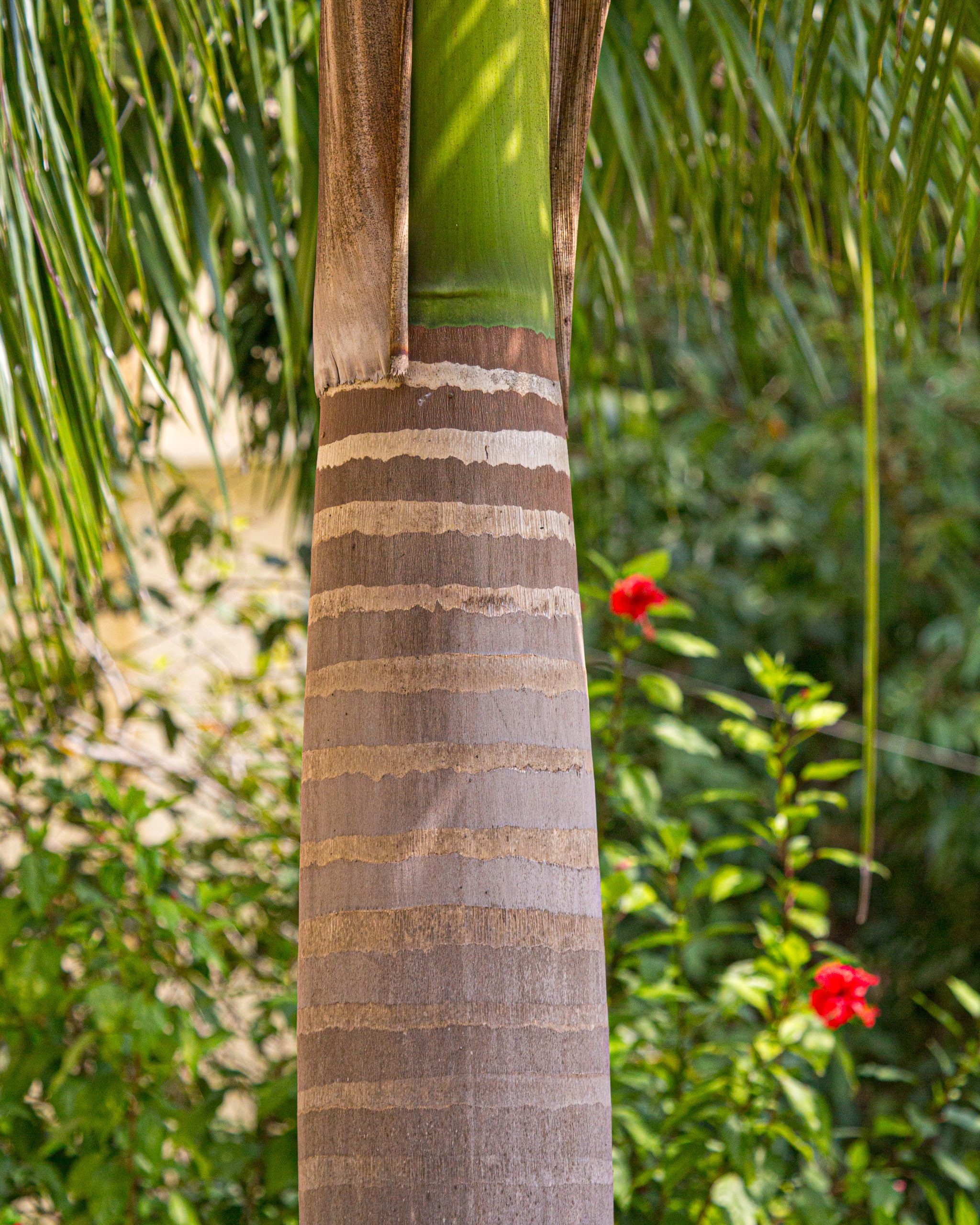 20130111130906 RD 20640