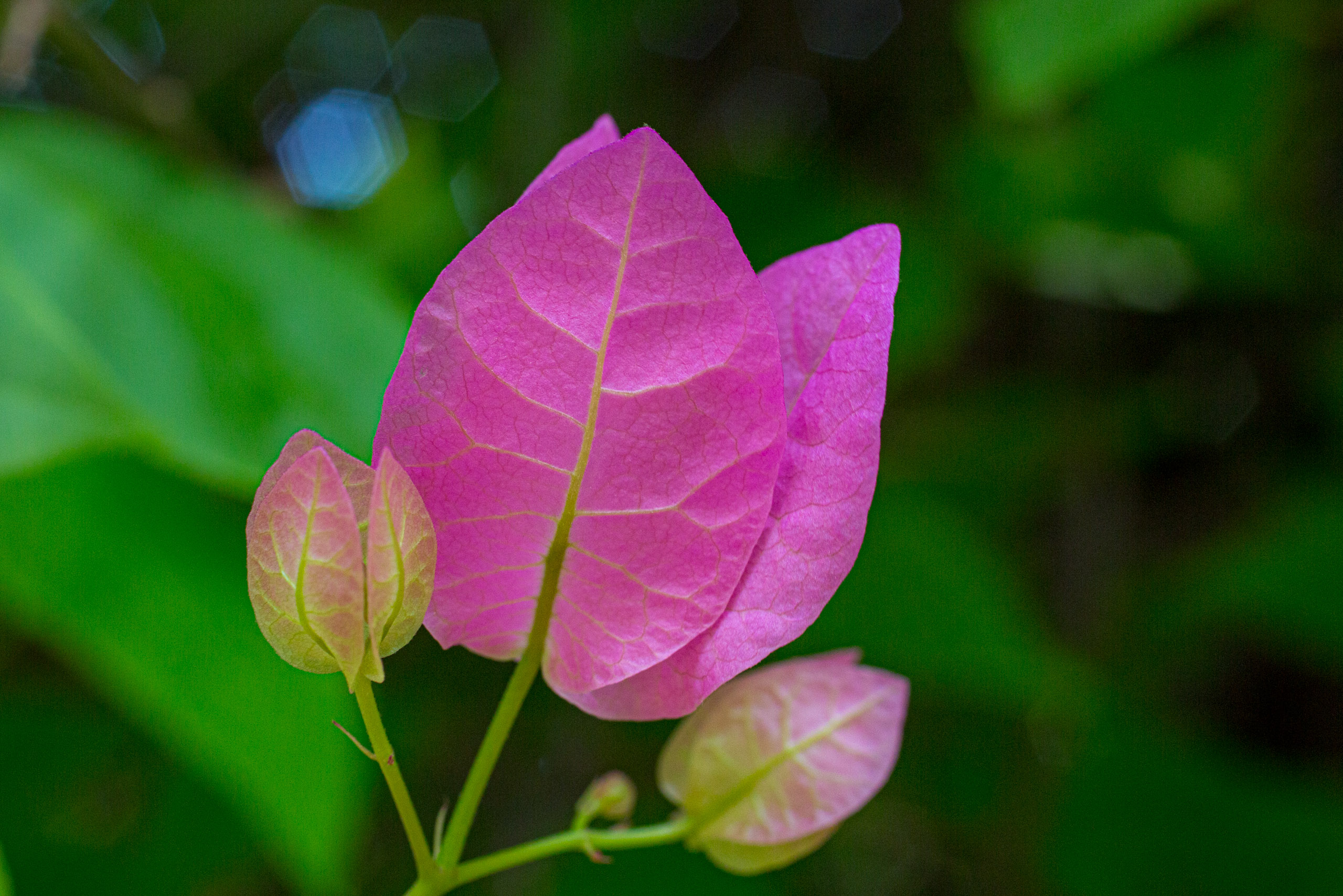 20130123111034 RD 26487