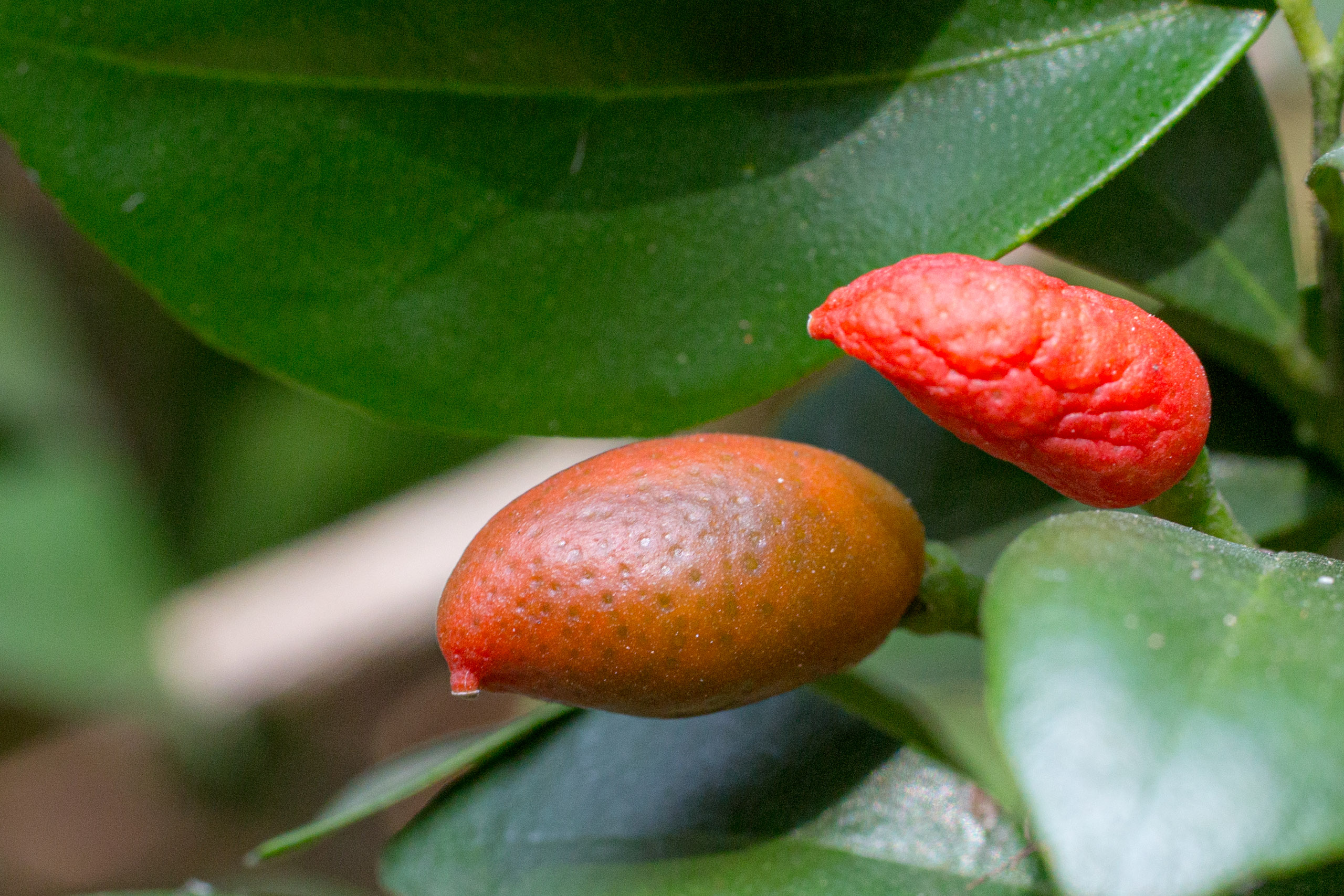 20130123111251 RD 26519