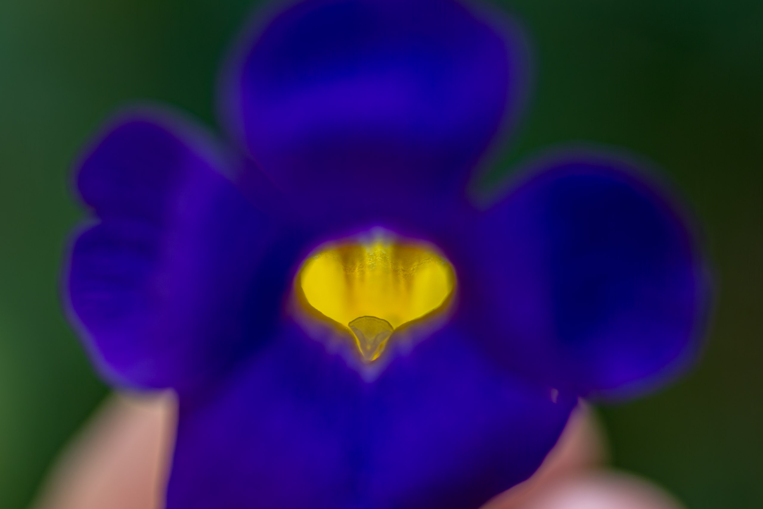 20130123112611 RD 26577 e