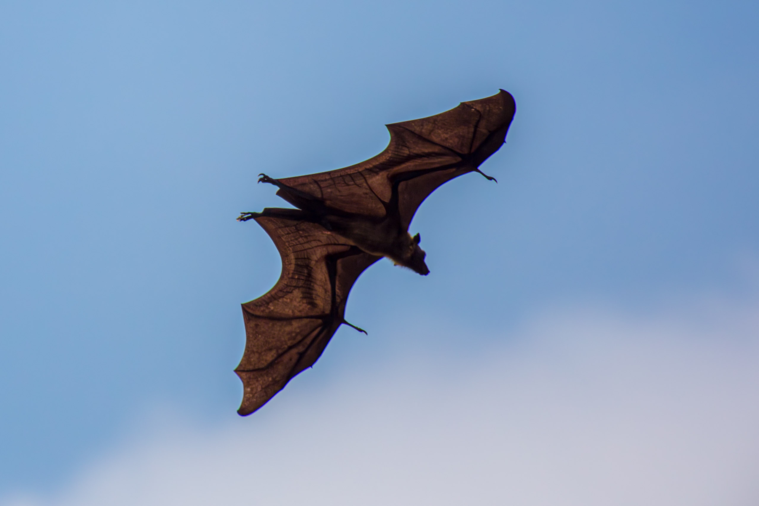 20130125152251 RD 26973 e