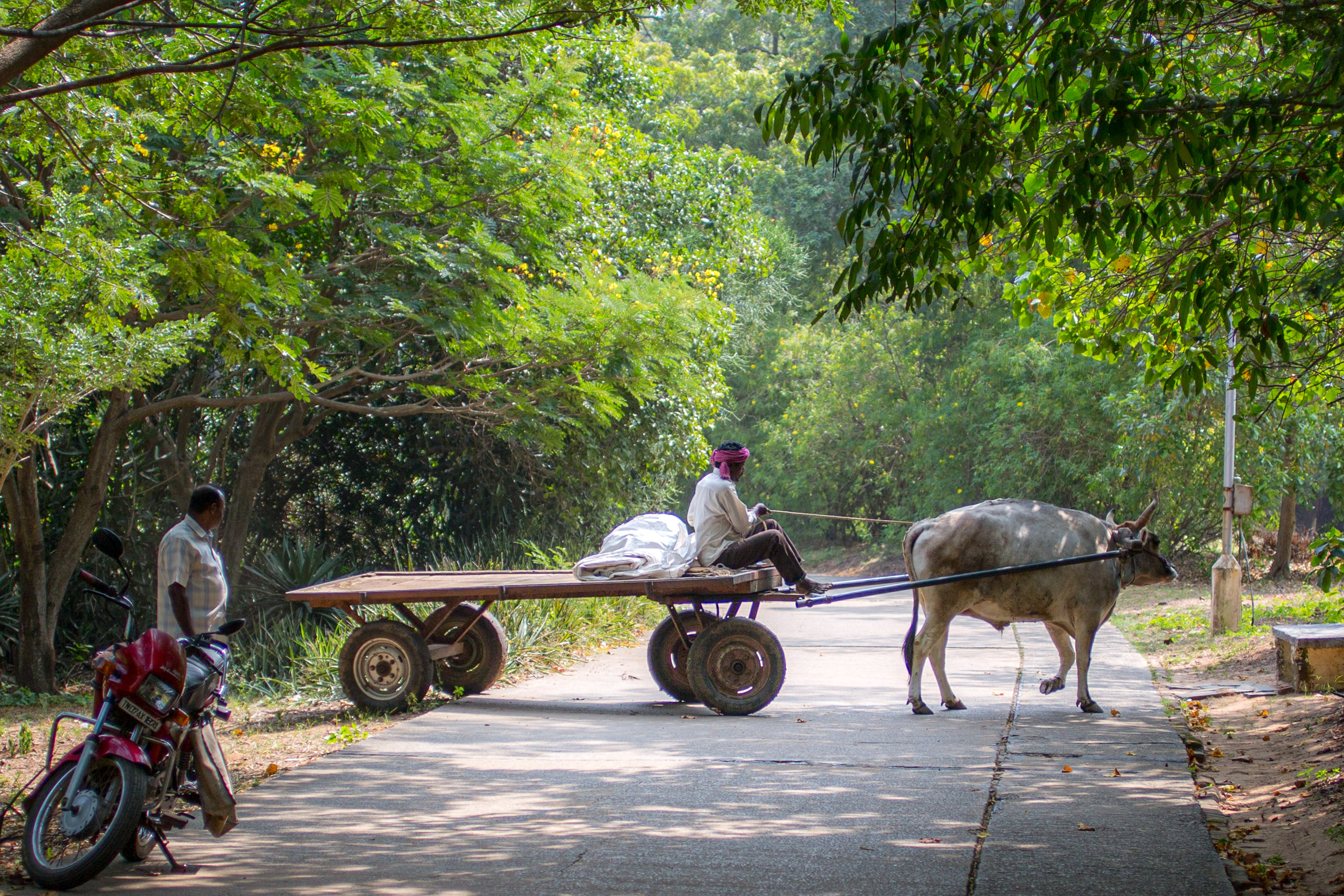 20130123112059 RD 26521